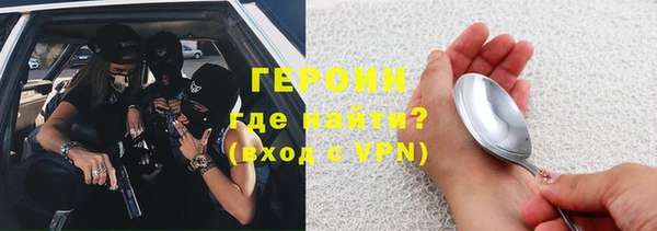 гидра Вяземский