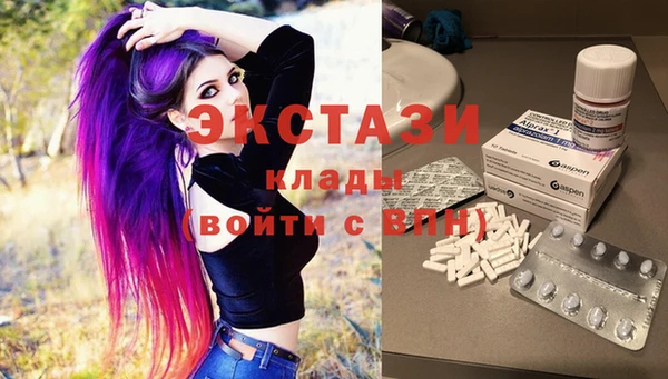 гидра Вяземский