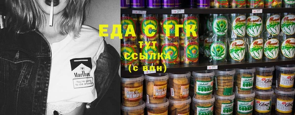 гидра Вяземский