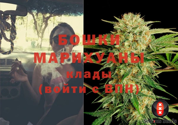 ешки Вязьма