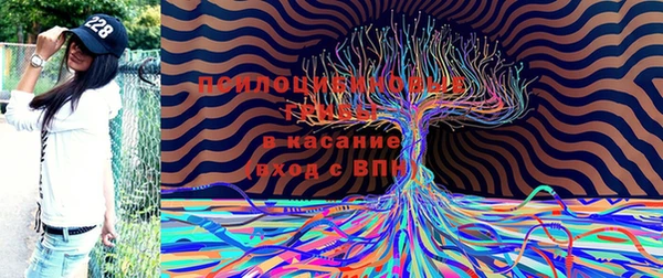 ешки Вязьма