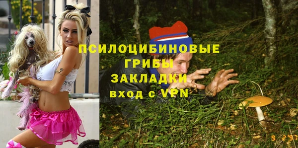 гидра Вяземский