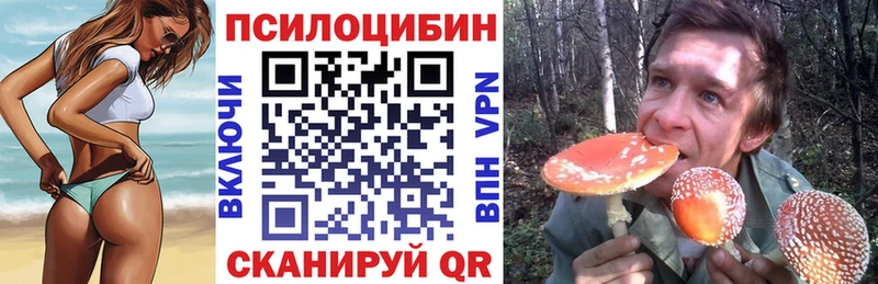 Псилоцибиновые грибы GOLDEN TEACHER  Гаджиево 